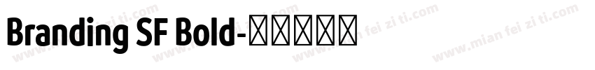 Branding SF Bold字体转换